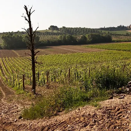 Tenuta Di Petriolo Εξοχικό σπίτι