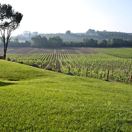 Tenuta Di Petriolo