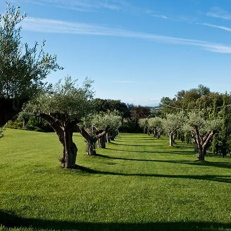 Tenuta Di Petriolo *